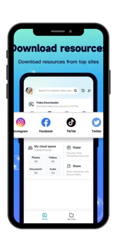 Download Manager